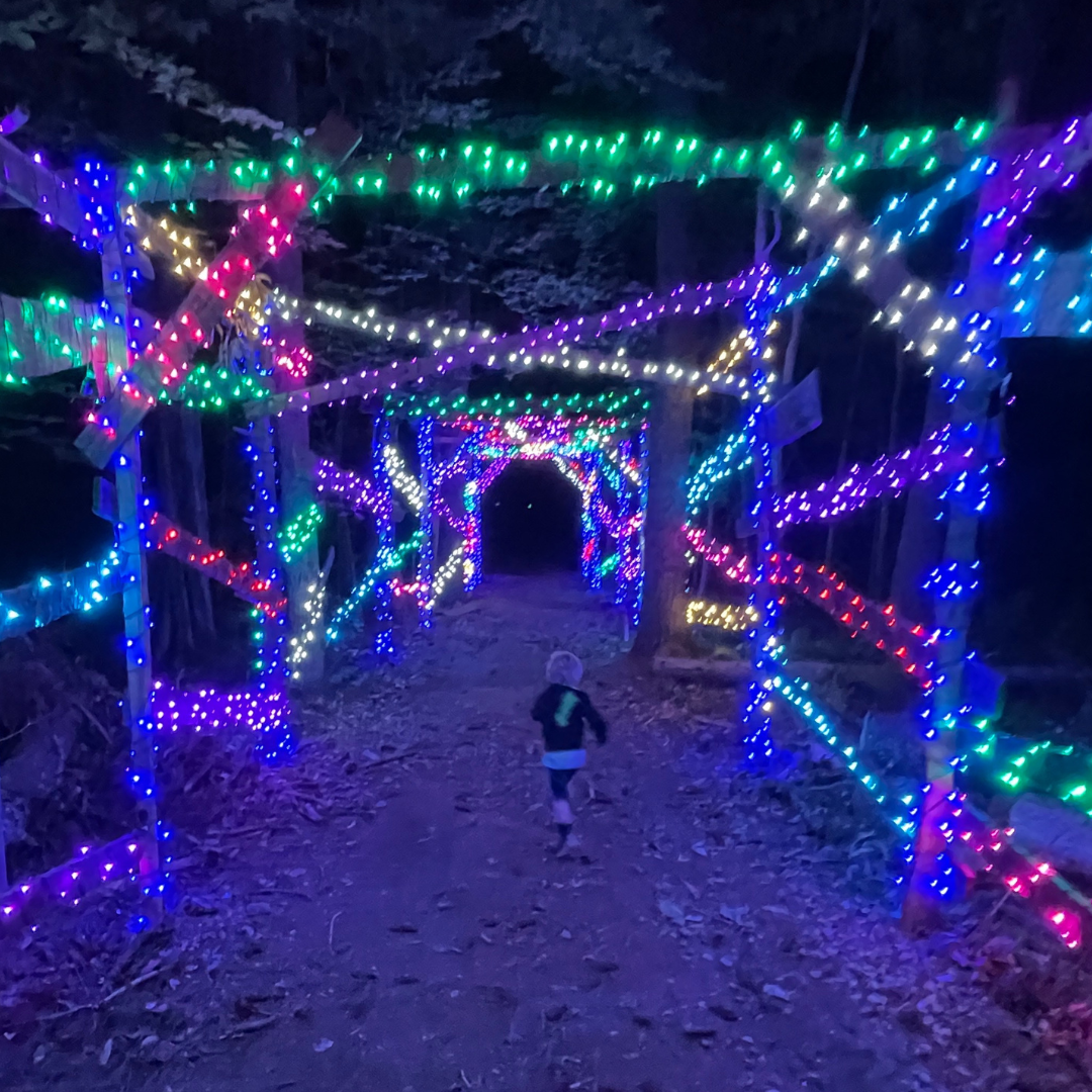 Gallery 1 — NyteWalk
